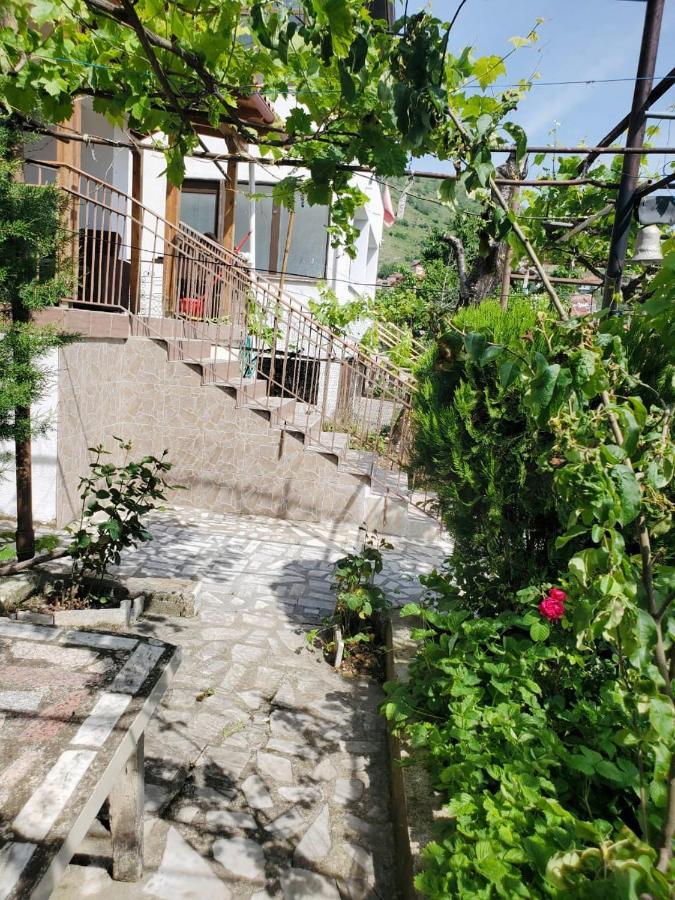 Lake Ohrid Guesthouse "Villa Valentina" Pogradec Kültér fotó